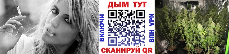 MEGA зеркало  Весьегонск  Бошки Шишки конопля 