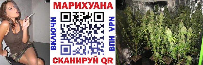 Шишки марихуана марихуана Весьегонск